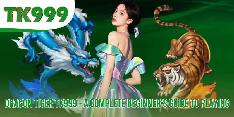 Dragon Tiger TK999 - A Complete Beginner's Guide to Playing