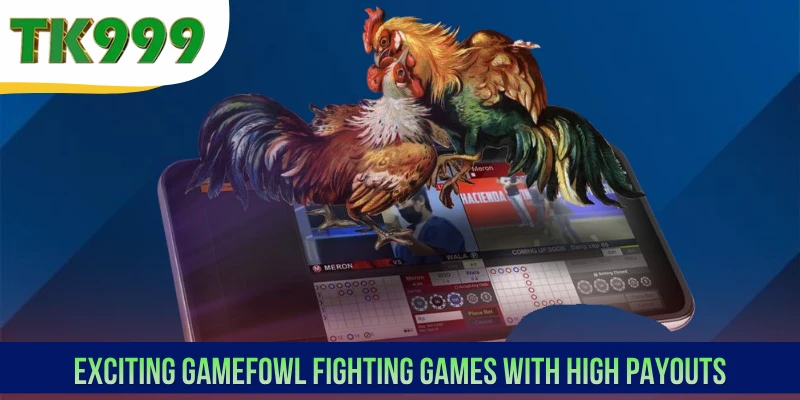 Exciting gamefowl fighting games with high payouts